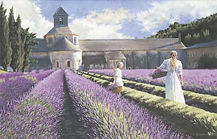 Lavender by Heide Presse